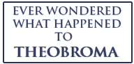 theobroma chocolates