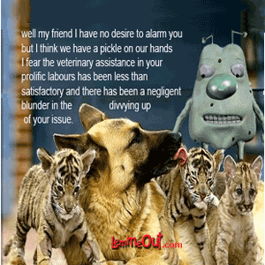 funny-picture-dogs-tigers-lemmeout