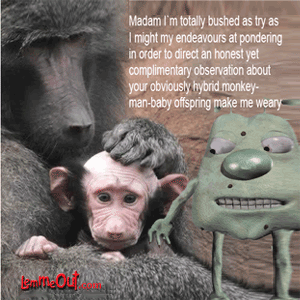 laugh-at-the-funny-picture-of-animals
