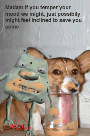 lol-lemme-and-funny-dog-picture