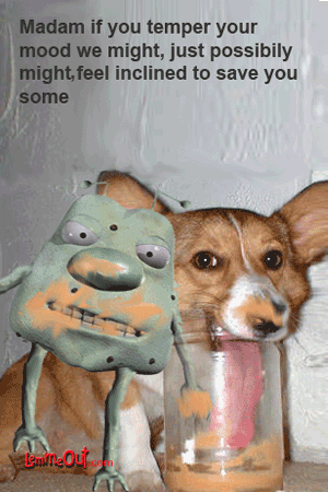 laugh-at-funny-pictures-of-dogs