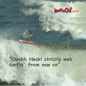 funny-picture-surfin-not-the-web
