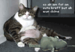 lol-lemme-with-fat-cat