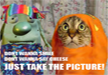 lol-funny-cat