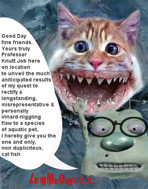 funny-little-cat-fish-with-lemmeout
