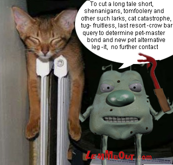 funny-picture-cat-stuck-behind-radiator-with-lemmeout
