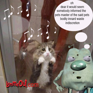 funny-picture-cute-sad-cat-in-shower-lemmeout