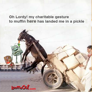 funny-pictures-of-the-day- poor-donkey-disaster