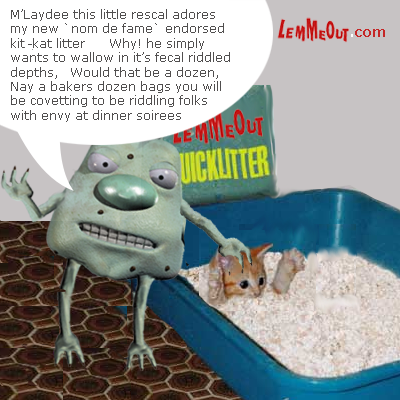 funny-picture-kitty-in-cat-litter-with-lemmeout