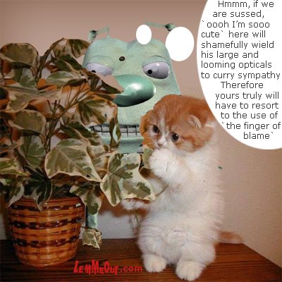 funny-picture-kitty-scared-behind-plant-lemmeout