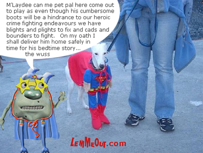funny-picture-super-dog-with-lemmeout