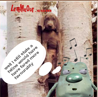 funny-picture-trapped-tree-dog-with-lemmeout