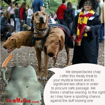funny-picture-wizard-three-headed-dog-with-lemmeout
