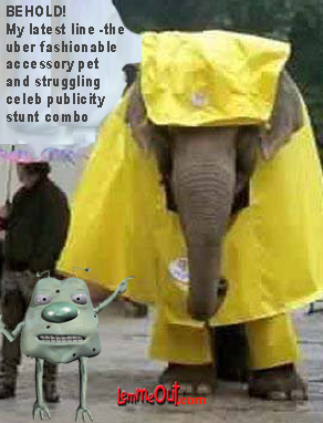 funny-picture-of-elephant-with-lemmeout